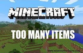 [1.4.7]Too Many Items